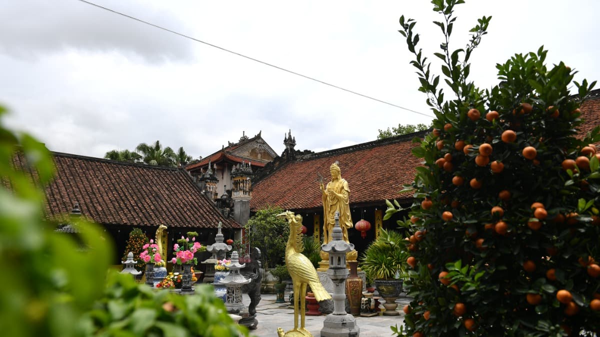 Pagoda Dư Hàng - ảnh địa điểm 5