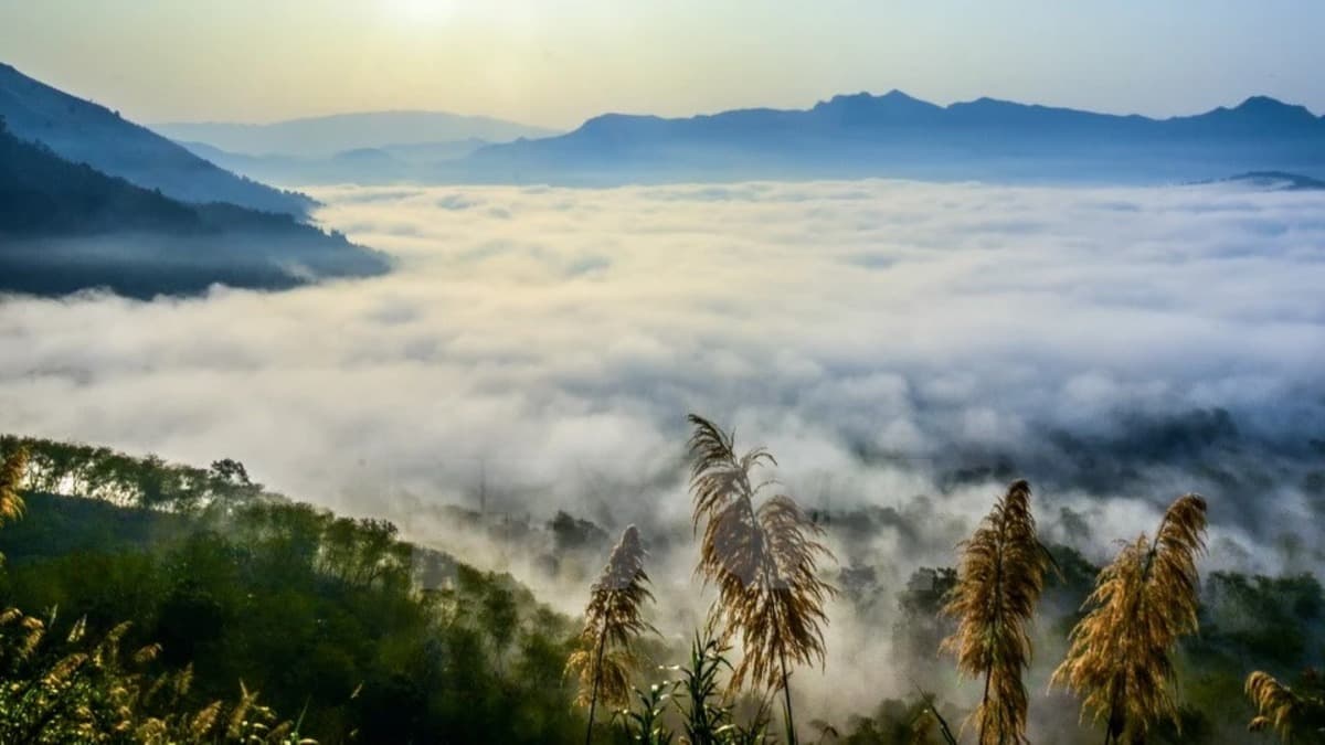 Passo Tằng Quái - ảnh địa điểm 2