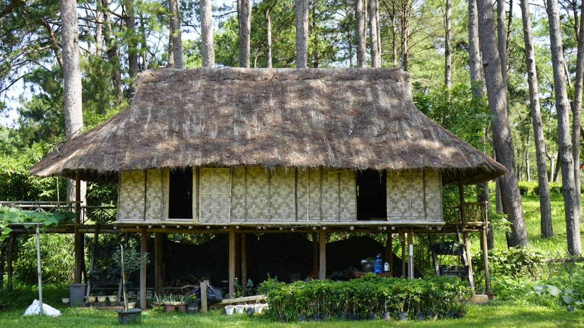 Pineta di Bản Áng - ảnh địa điểm 2