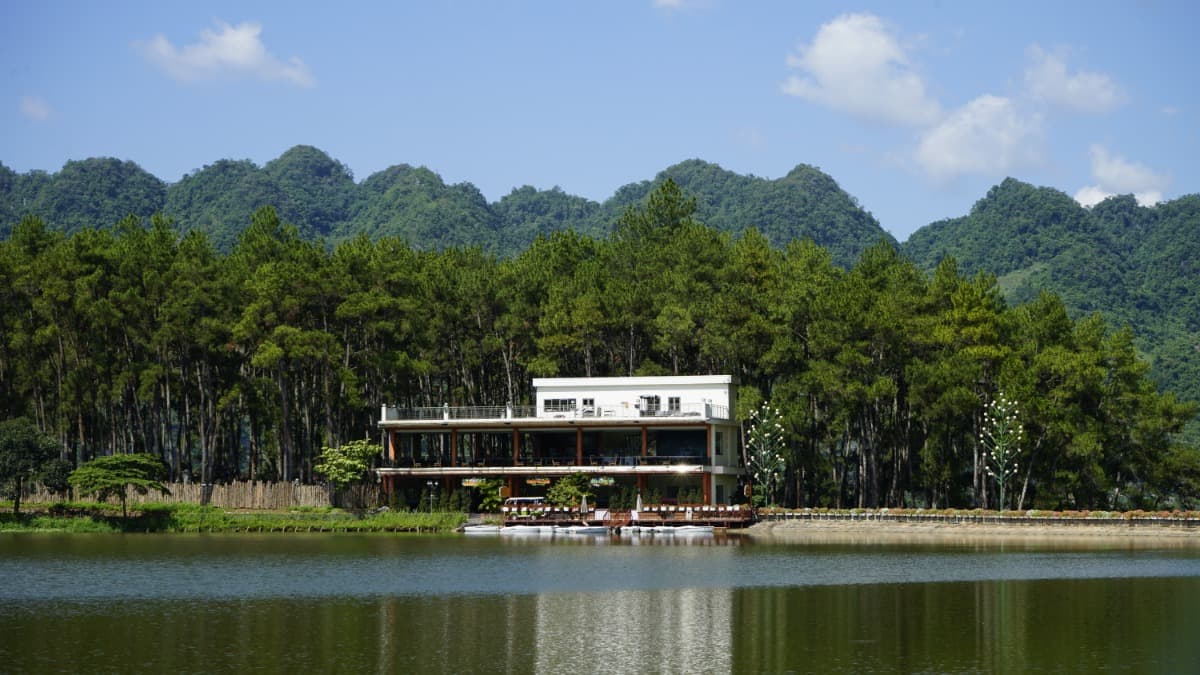 Pineta di Bản Áng - ảnh địa điểm 3