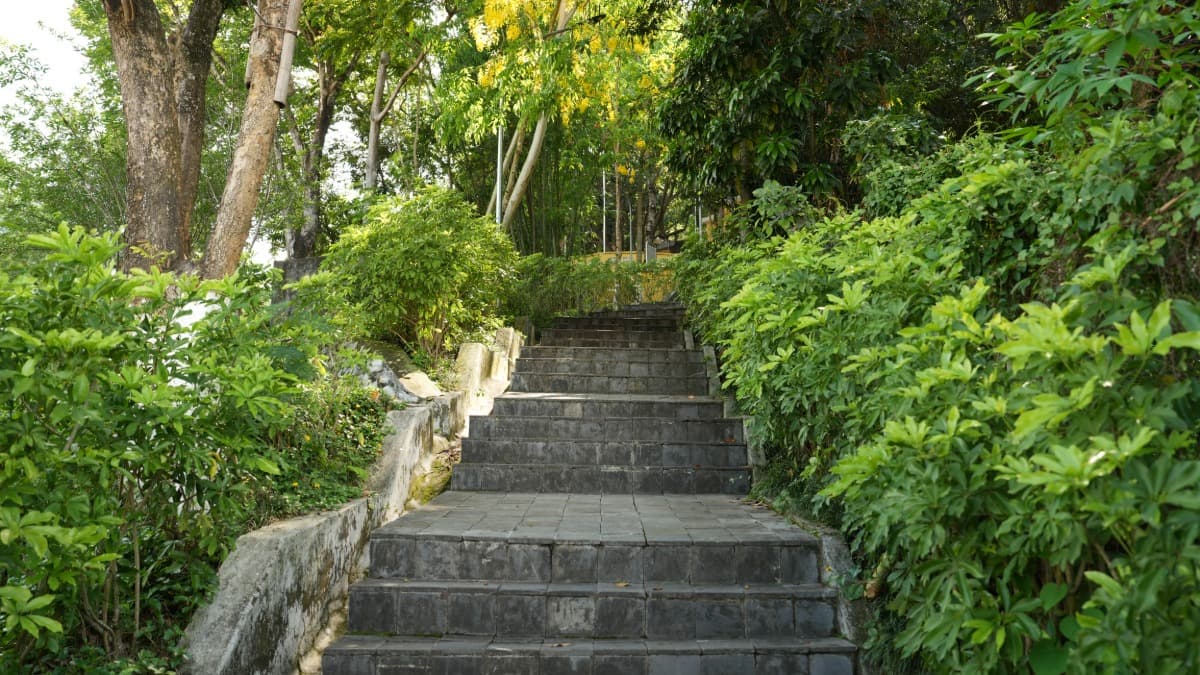 Temple du Roi Lê Thái Tông - ảnh địa điểm 2