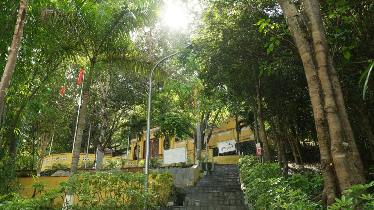 Temple du Roi Lê Thái Tông - ảnh địa điểm 3
