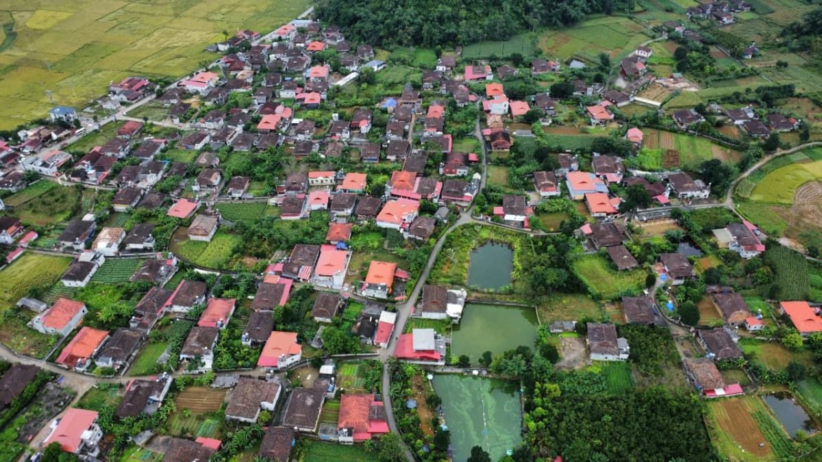 Quynh Son Community-Based Cultural and Tourism Village - location photo 4