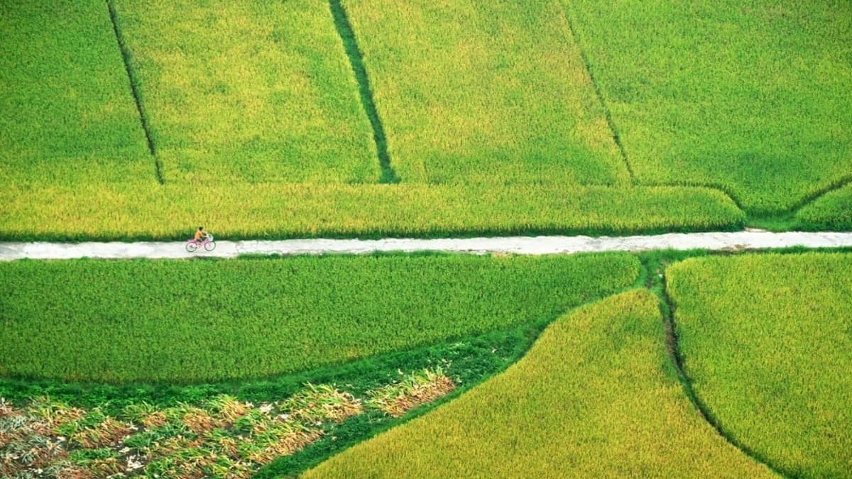 Quynh Son Community-Based Cultural and Tourism Village - location photo 2