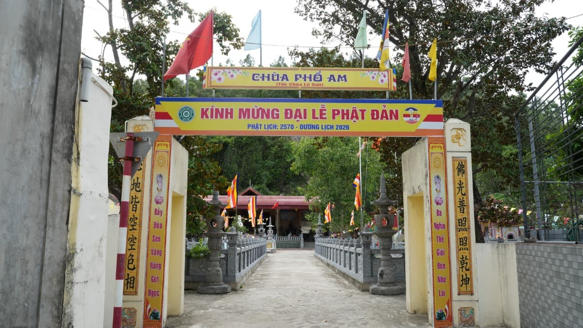 ローソン寺（Chùa Lô Sơn） - ảnh địa điểm 2
