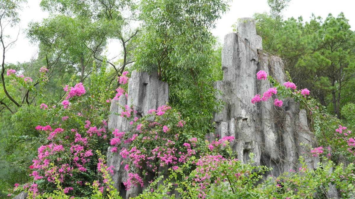 Pagode Long Hải - ảnh địa điểm 3
