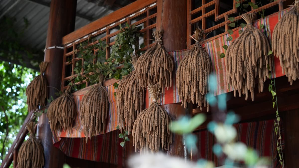 Bản Vặt - ảnh địa điểm 3