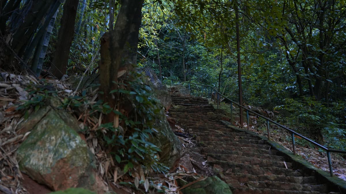 Hang Dơi - location photo 3