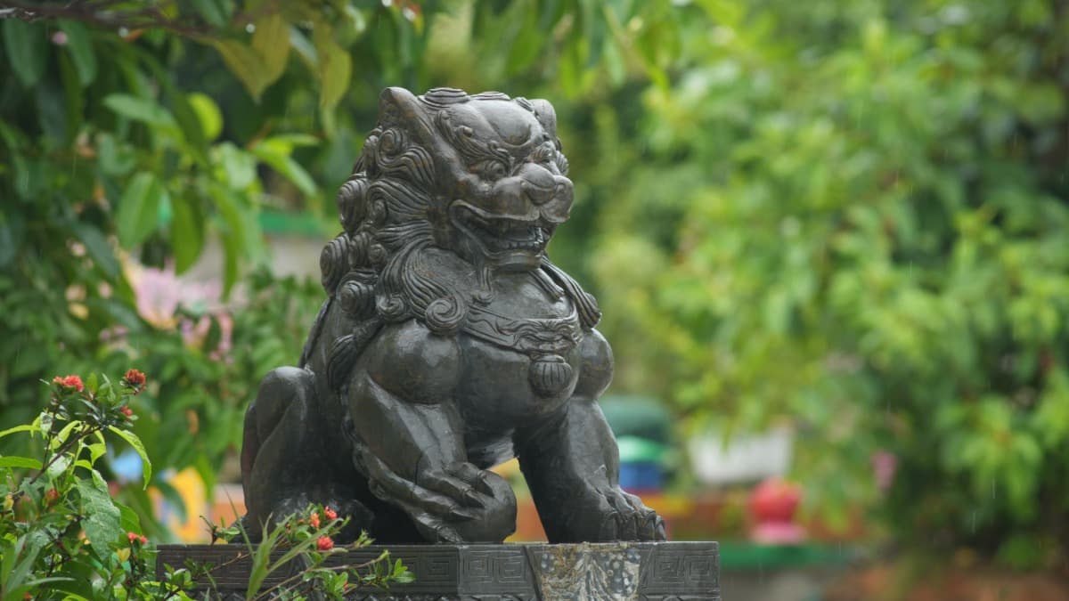 Thanh Quang Pagoda - location photo 4
