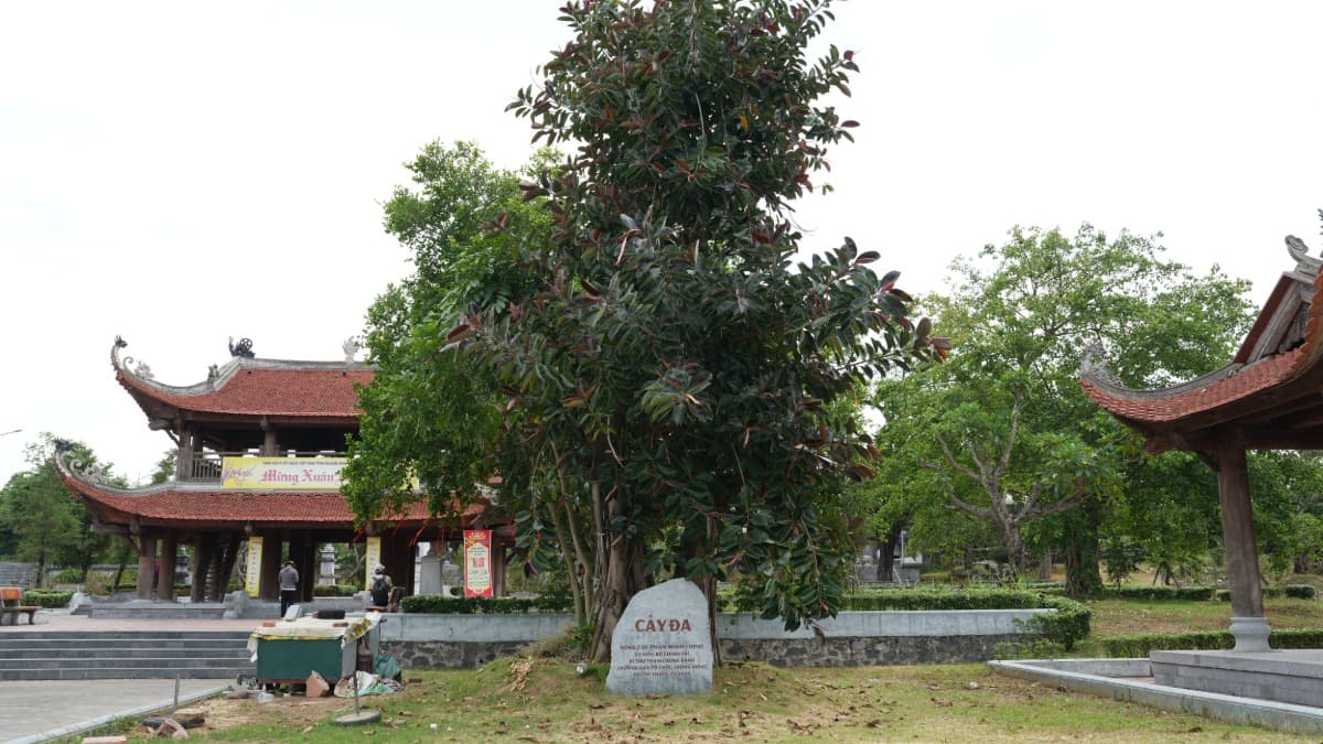 Pagoda Quỳnh Lâm - ảnh địa điểm 4