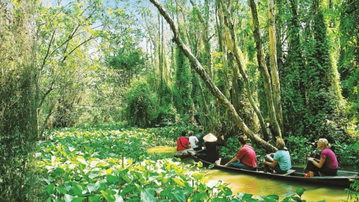 Site historique de Xẻo Quýt - ảnh địa điểm 3