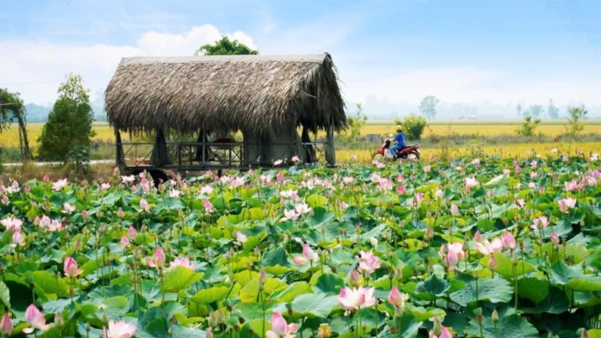 Site historique de Xẻo Quýt - ảnh địa điểm 2