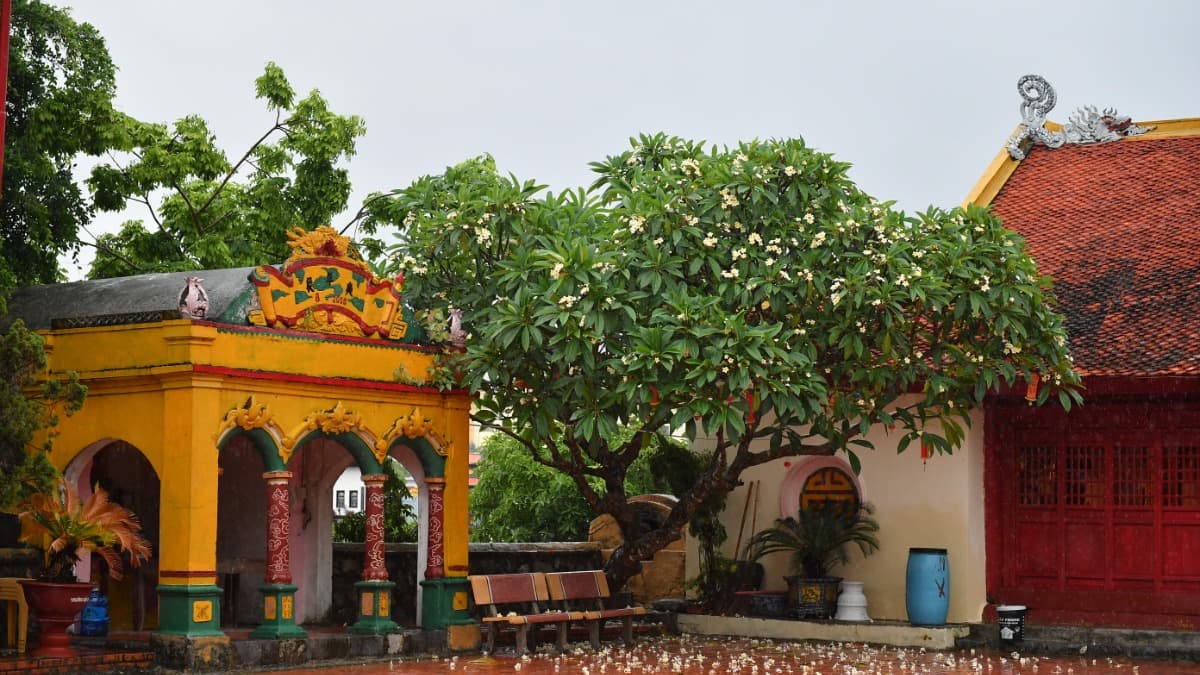 Temple Tiên Công - ảnh địa điểm 6