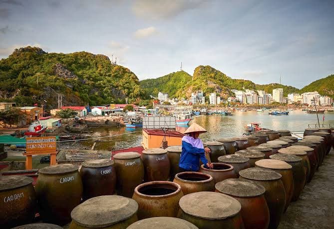 Làng nước mắm Cát Hải - ảnh địa điểm 4