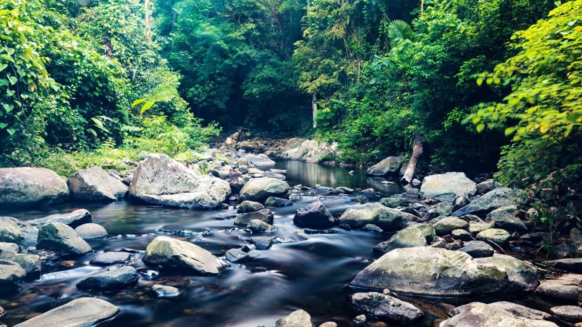 Grang Waterfall - location photo 5