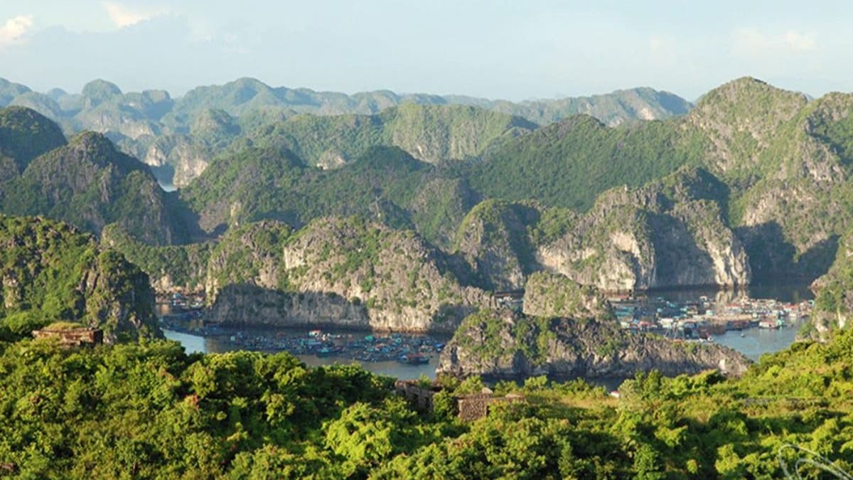 Cat Ba Biosphere Reserve - location photo 3