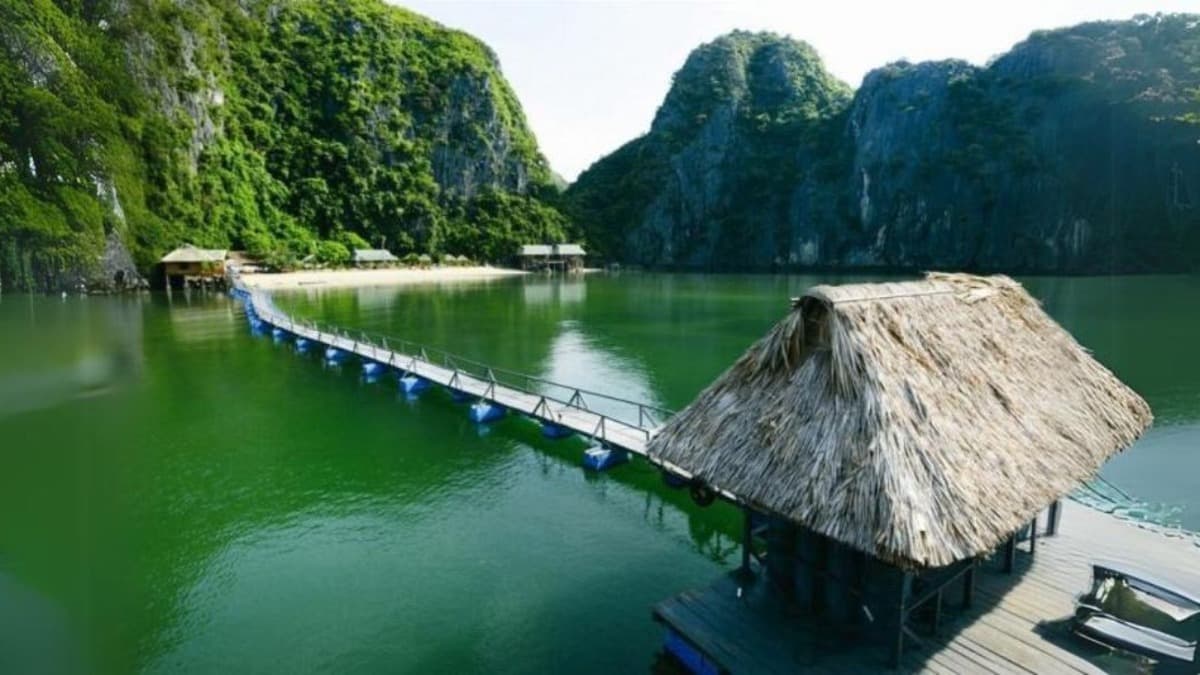 Cat Ba Biosphere Reserve - location photo 5