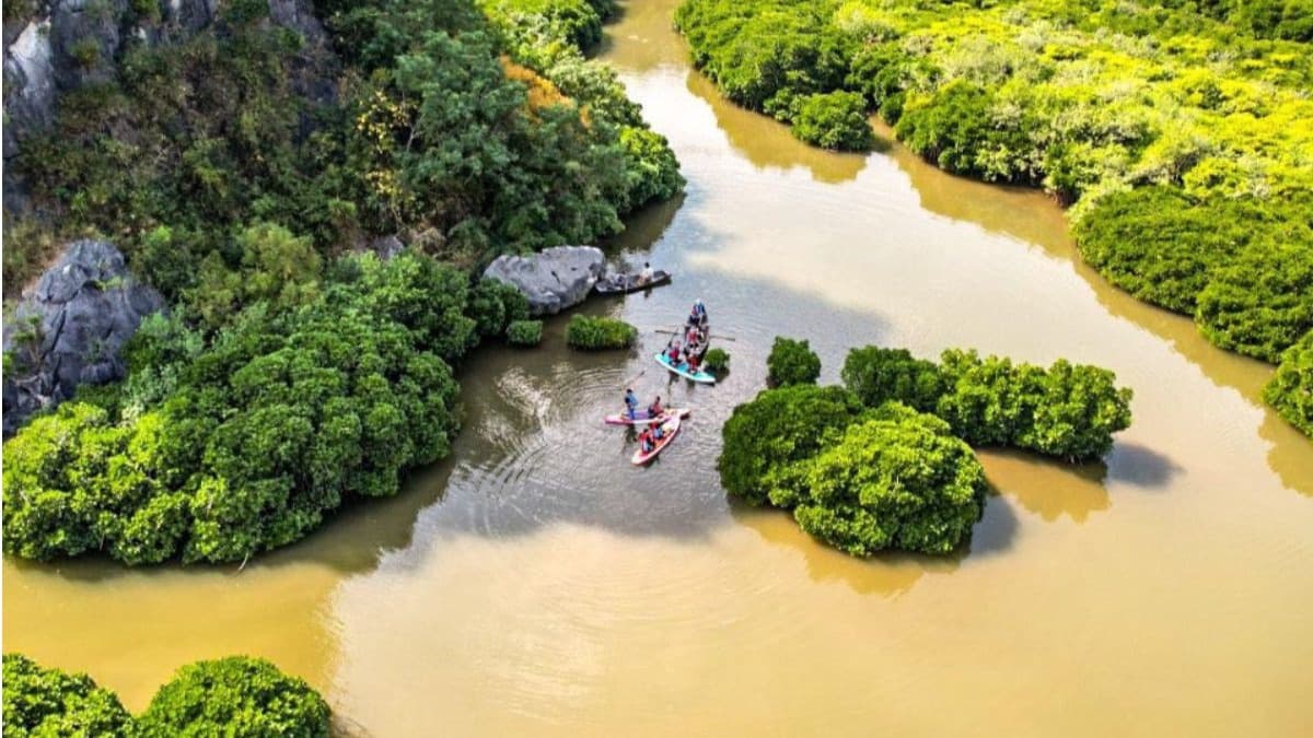 Cat Ba Biosphere Reserve - location photo 2