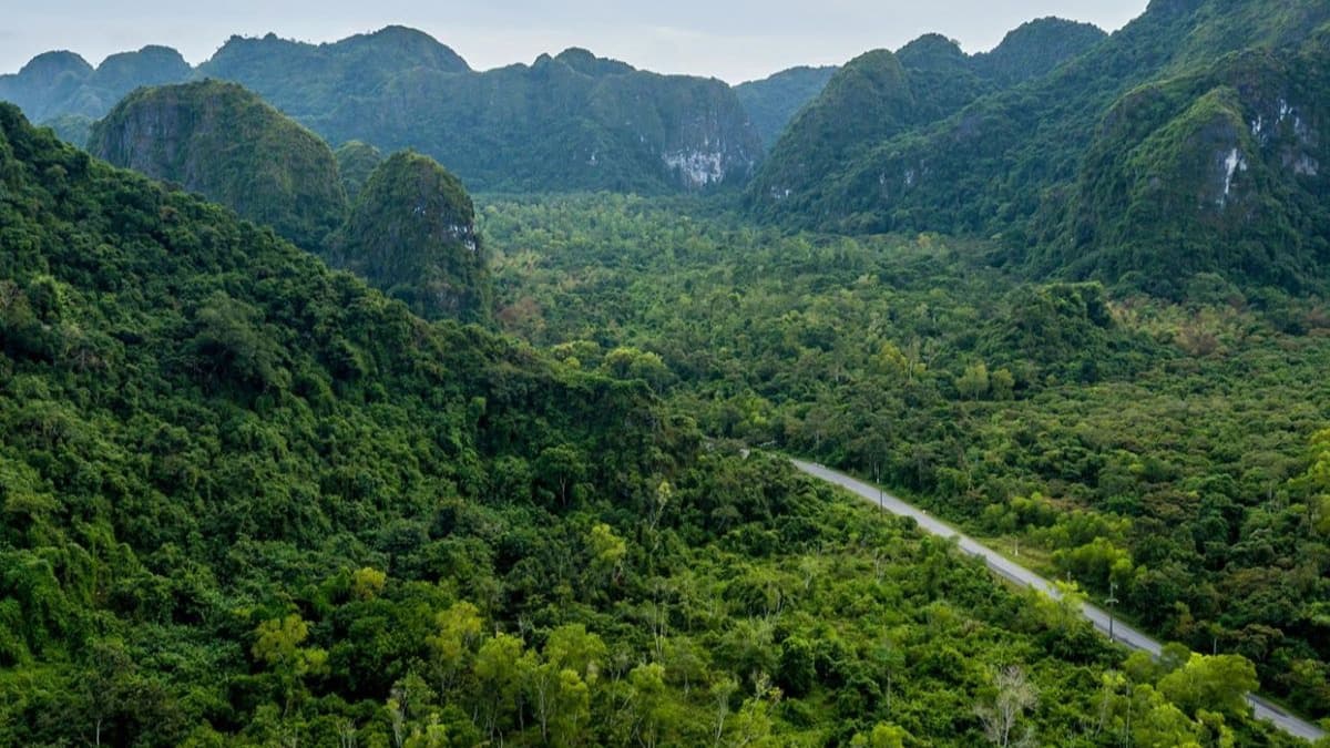 Cat Ba Biosphere Reserve - location photo 4