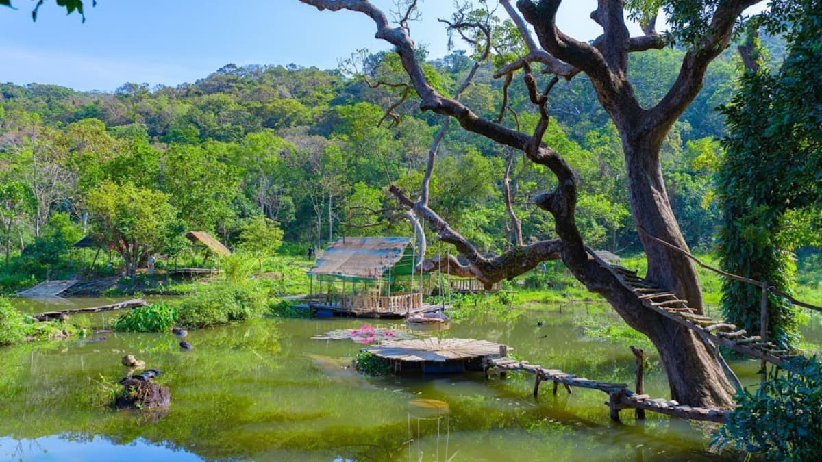 Péninsule de Sơn Trà - ảnh địa điểm 5