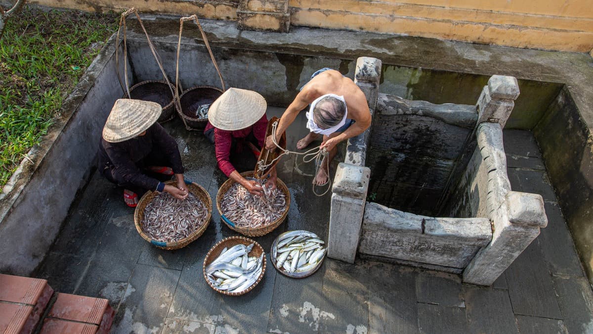 Nam O Fish Sauce Village - location photo 2