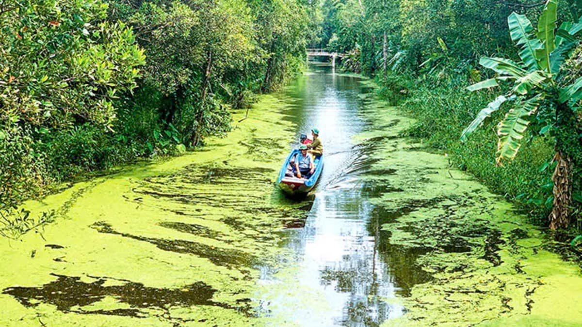 Réserve naturelle de Lung Ngoc Hoang - ảnh địa điểm 5