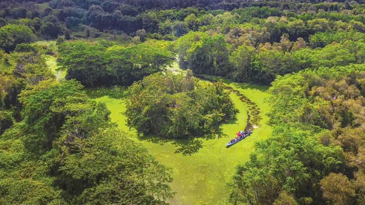 Réserve naturelle de Lung Ngoc Hoang - ảnh địa điểm 2
