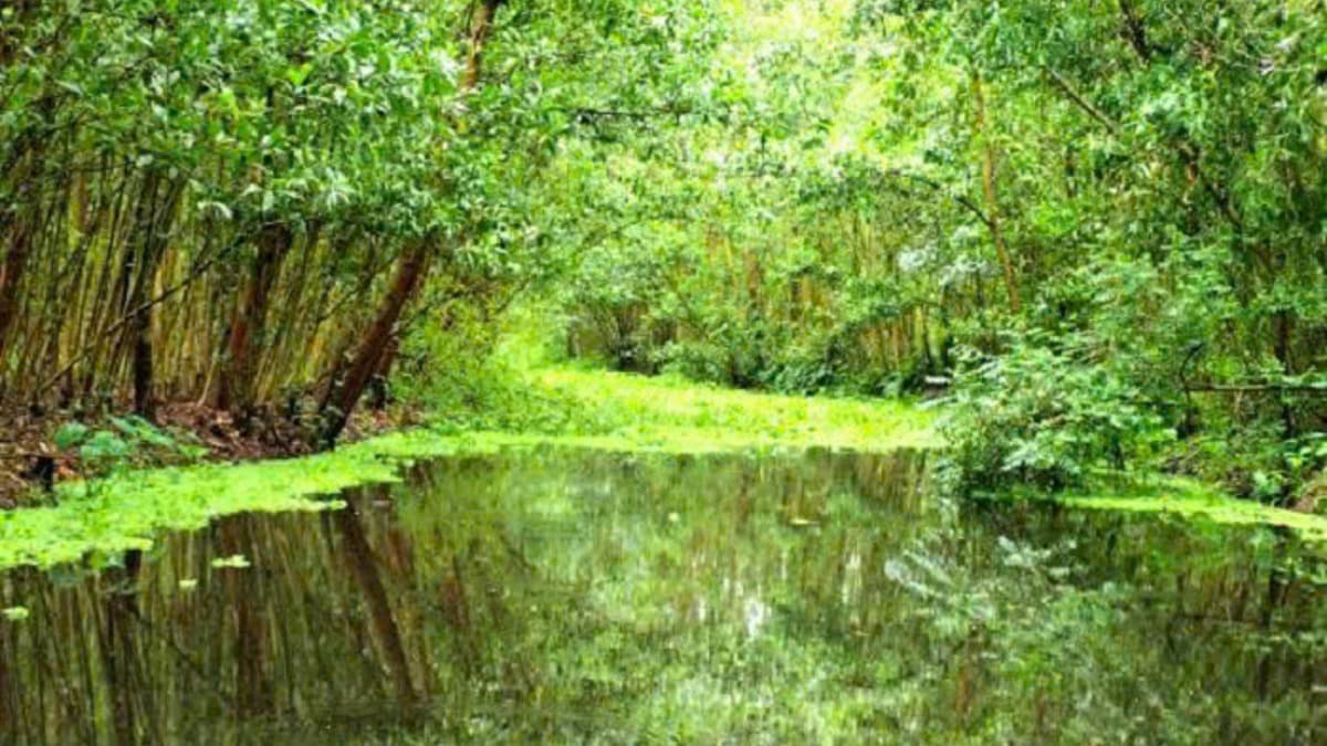 Réserve naturelle de Lung Ngoc Hoang - ảnh địa điểm 4