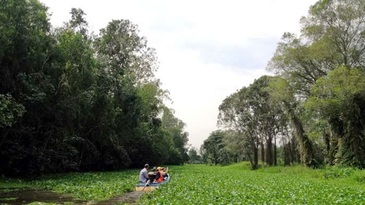 Réserve naturelle de Lung Ngoc Hoang - ảnh địa điểm 6
