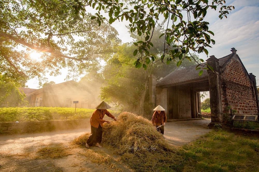 Làng Cổ Đường Lâm  - ảnh địa điểm 5
