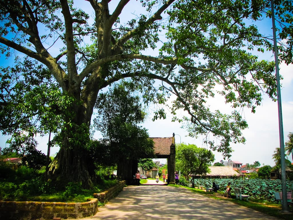 Làng Cổ Đường Lâm 