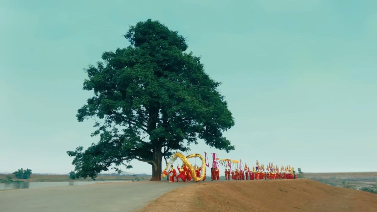 Bac Ninh Lonely Tree - location photo 2