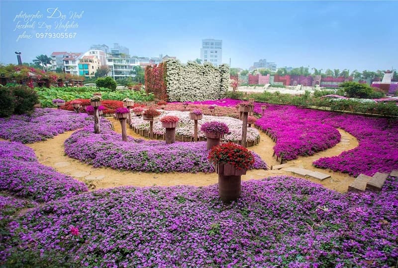 Thung lũng hoa Hồ Tây - ảnh địa điểm 2