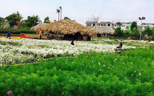 Thung lũng hoa Hồ Tây - ảnh địa điểm 5