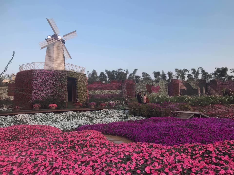 Thung lũng hoa Hồ Tây