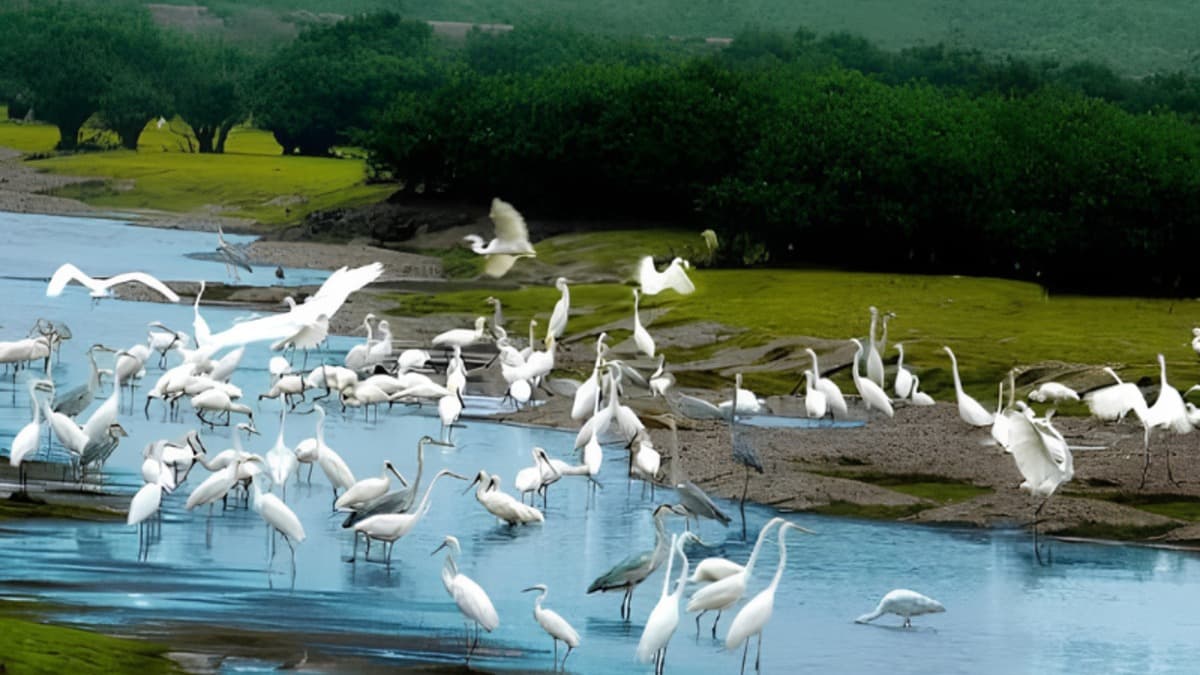 Sanctuaire d'oiseaux de Bang Lang
