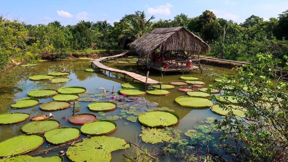 Cồn Sơn