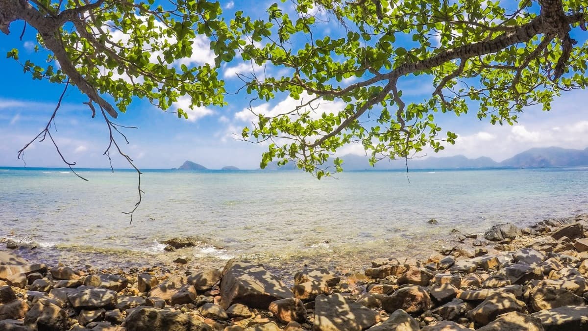 Parco Nazionale di Côn Đảo