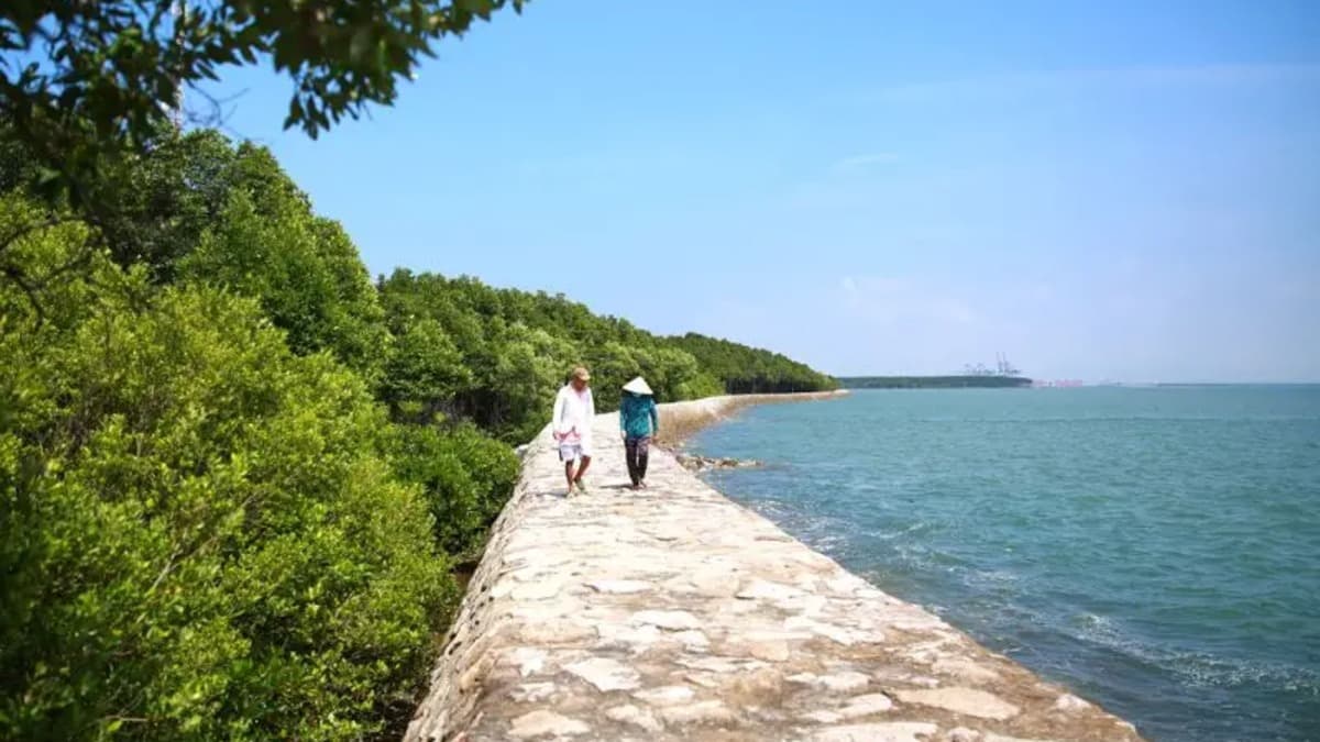 Spiaggia di Cần Giờ - ảnh địa điểm 2