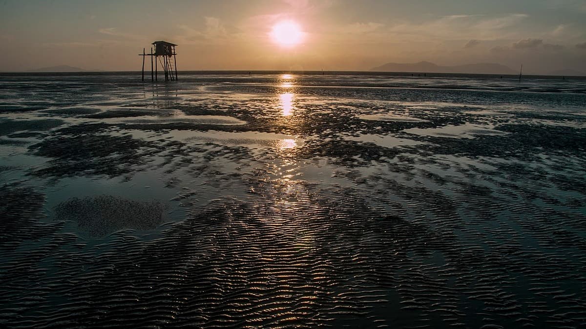 Spiaggia di Cần Giờ - ảnh địa điểm 6