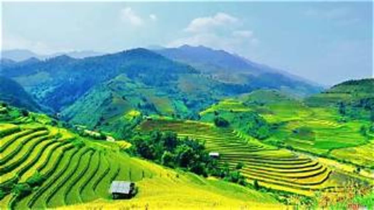 Chu Se Terraced Fields - ảnh địa điểm 2