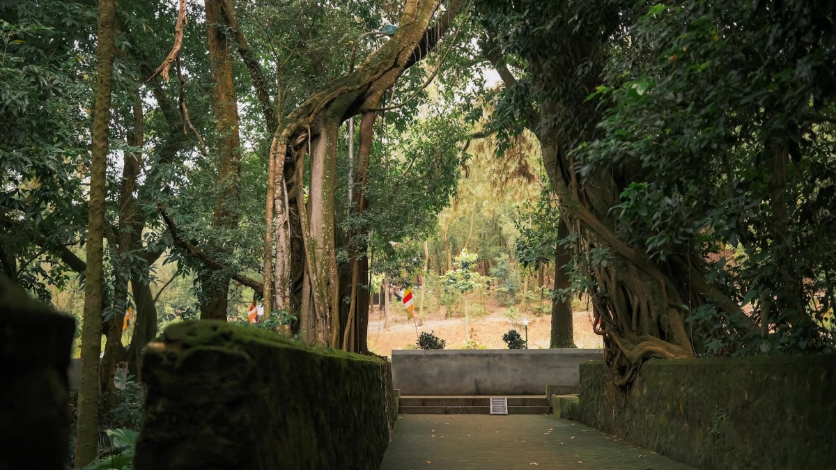 菩陀寺 (Chùa Bổ Đà) - ảnh địa điểm 4