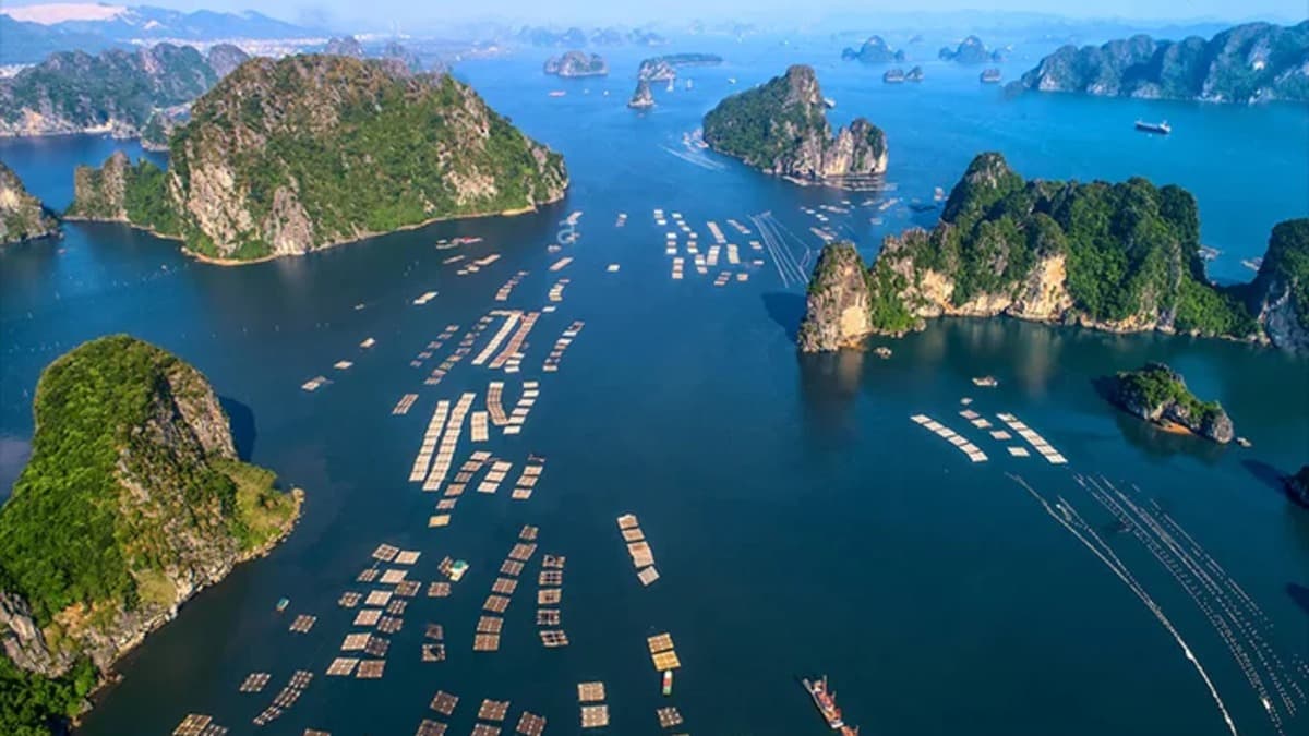 Làng chài Cửa Vạn - ảnh địa điểm 2
