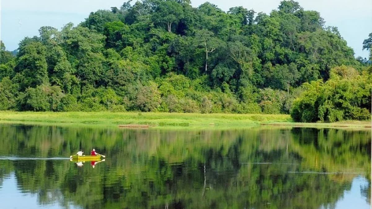 Parc national de Pù Mát - ảnh địa điểm 3