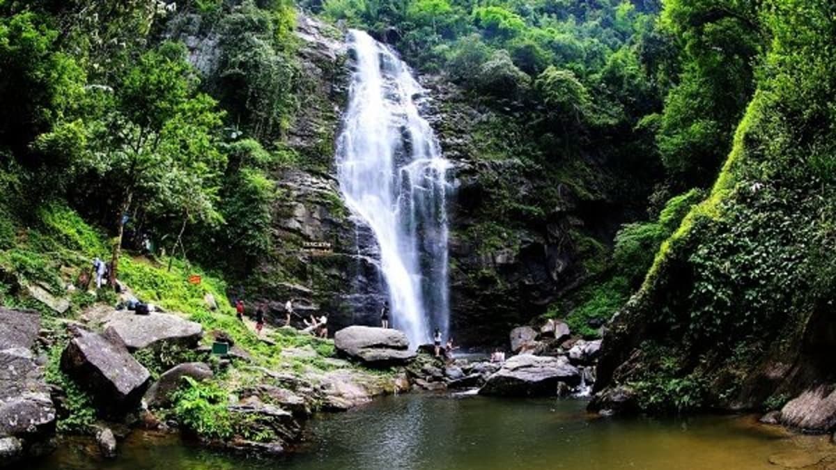 Parc national de Pù Mát - ảnh địa điểm 6