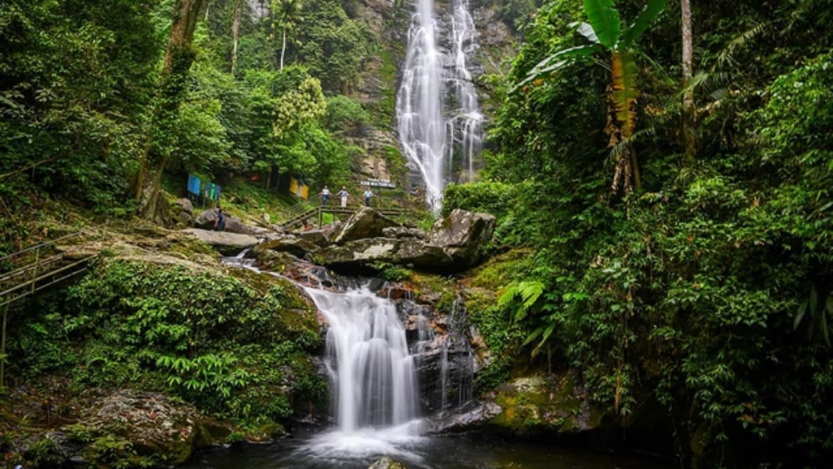 Parc national de Pù Mát - ảnh địa điểm 2