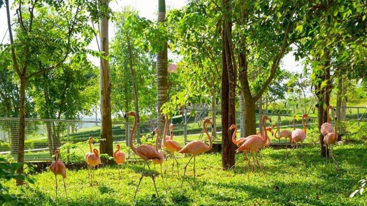 므엉탄 그린랜드 디엔럼 (Mường Thanh Green Land Diễn Lâm) - ảnh địa điểm 3