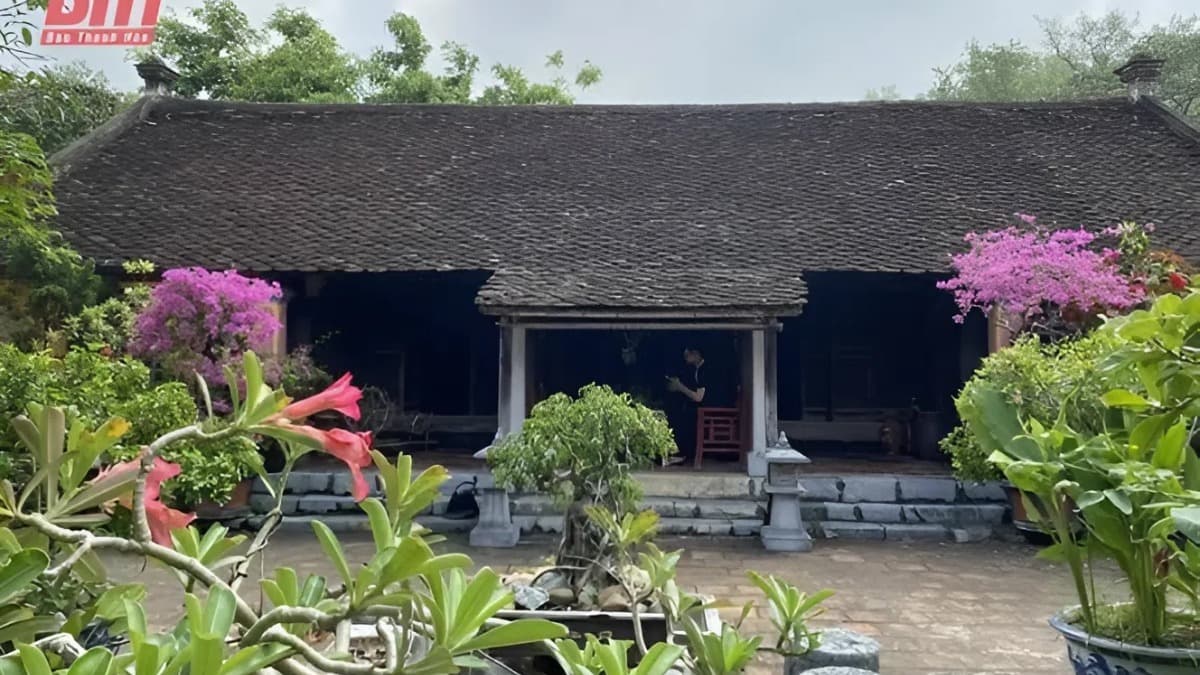 Làng cổ Đông Sơn - ảnh địa điểm 2