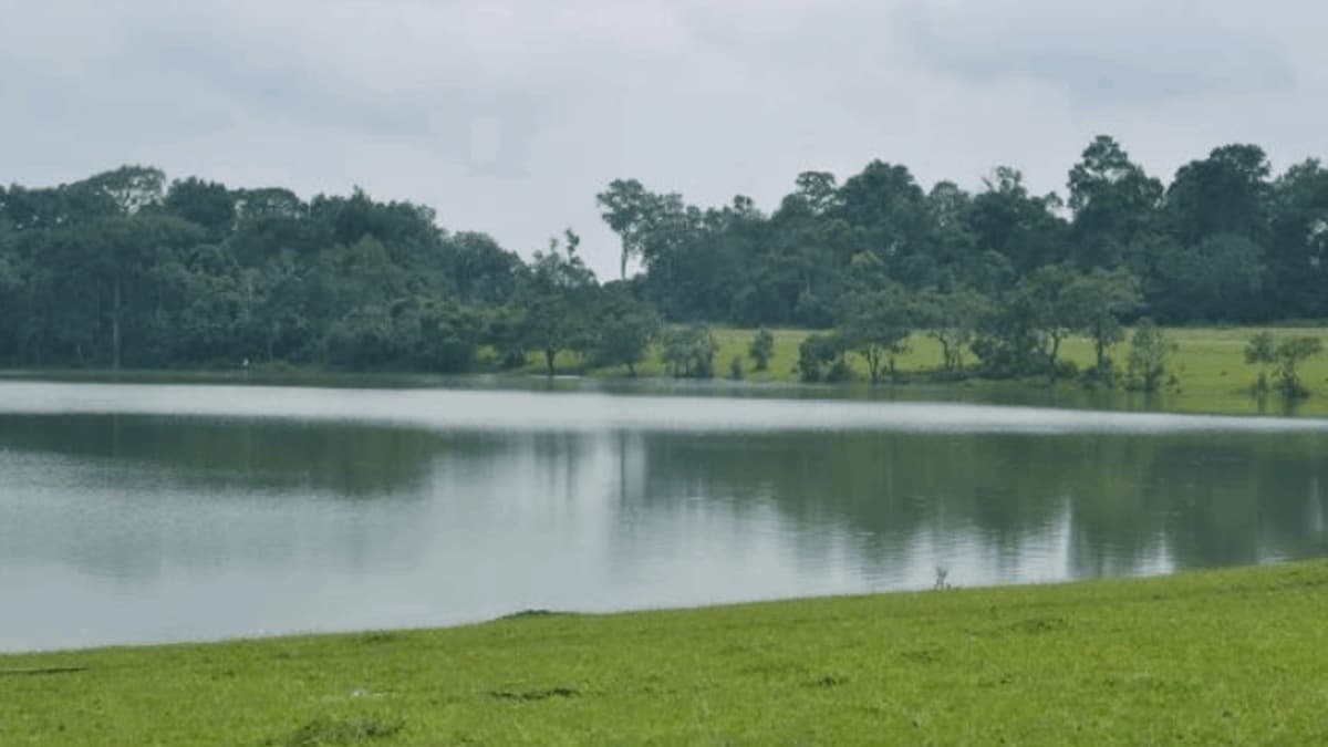 Trảng cỏ Bù Lạch - ảnh địa điểm 3