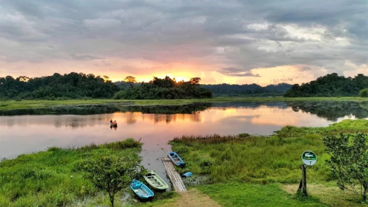 Vườn quốc gia Cát Tiên  - location photo 5